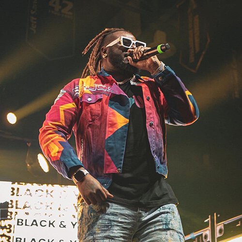 Portrait of T-Pain